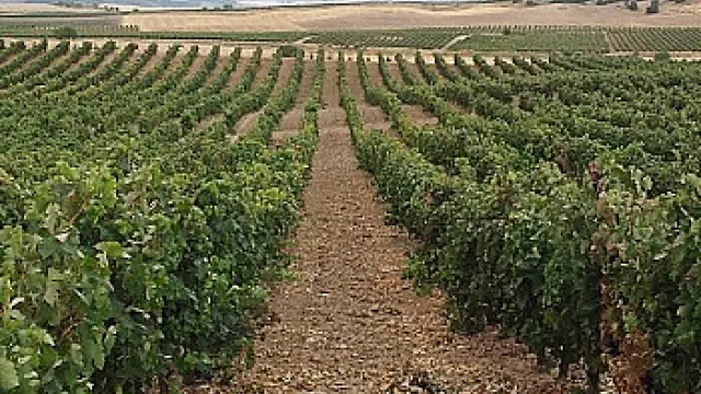 laderas de valverde.jpg