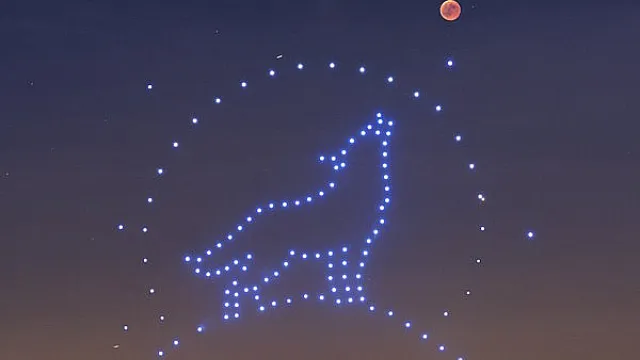 UMILES líderes en sistemas aéreos no tripulados_lobo.jpg