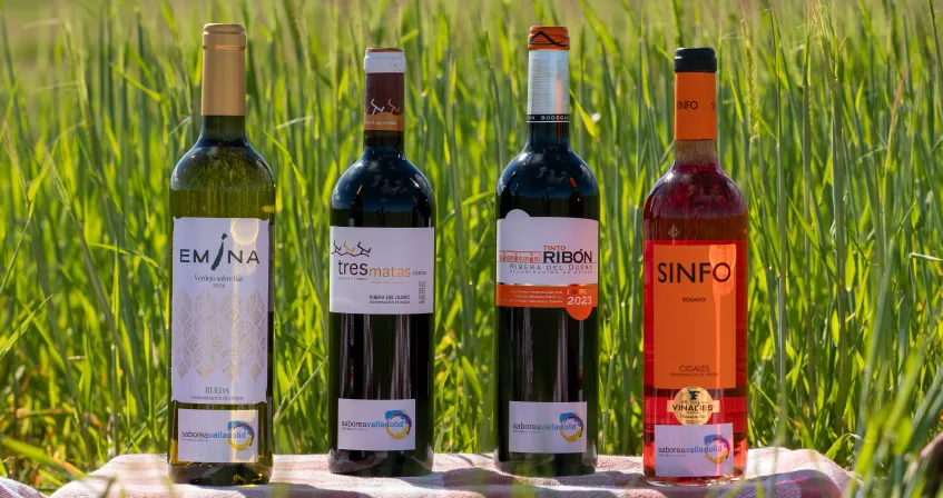 Vinos Seleccion 2025