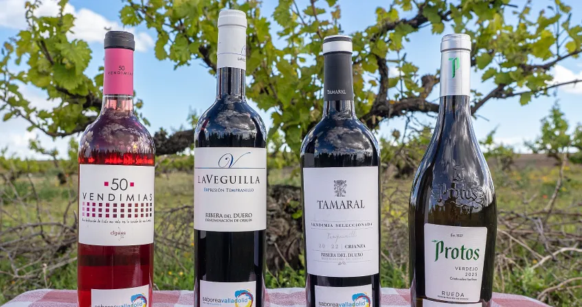 Vinos_21_09_26